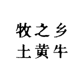 牧之乡土黄牛