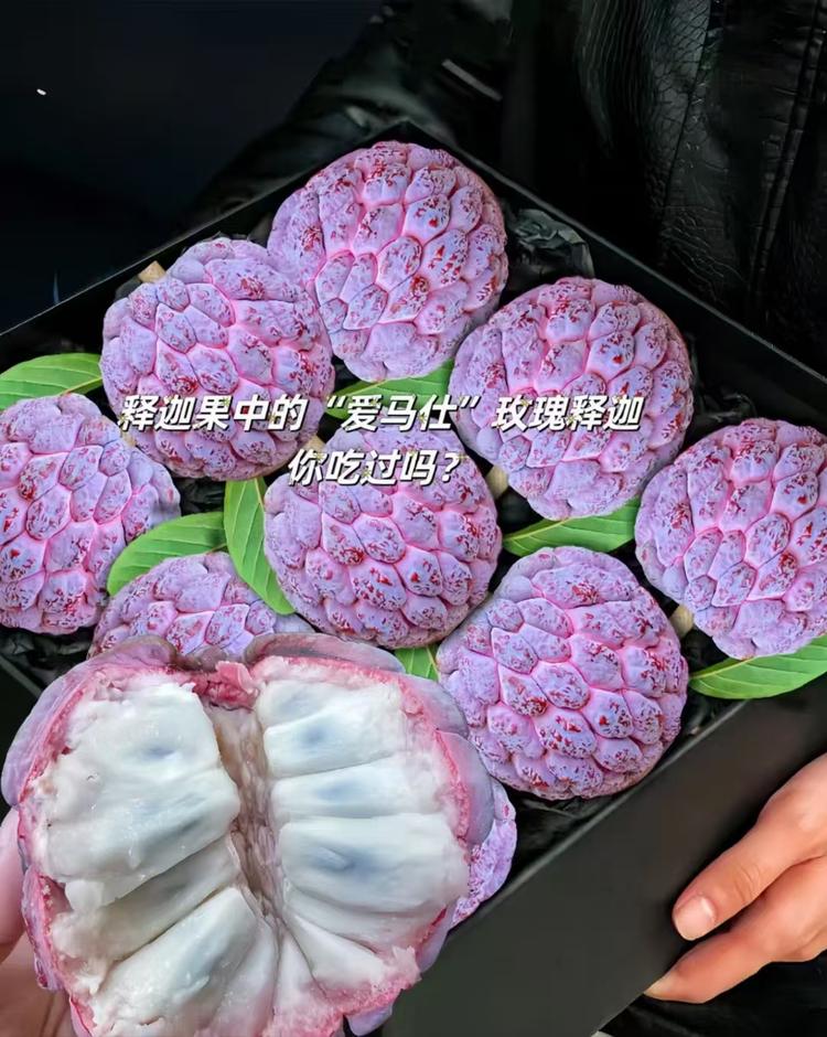 释迦果基地