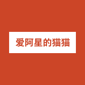 阿星的宠物衣橱