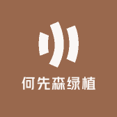 何先森绿植