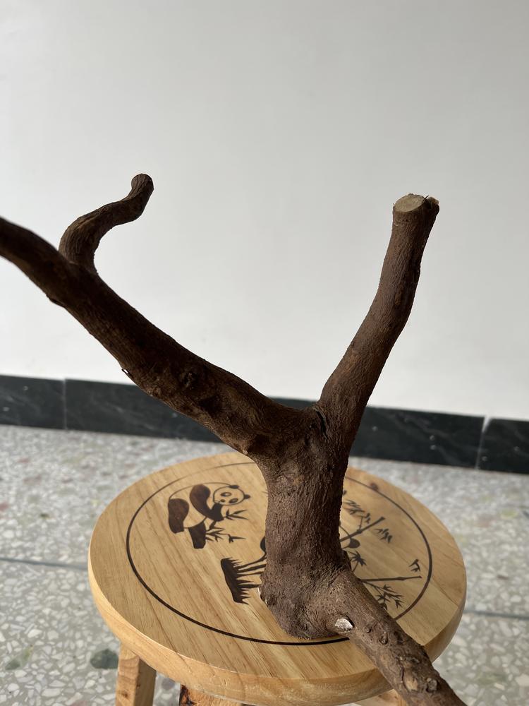 耕根享