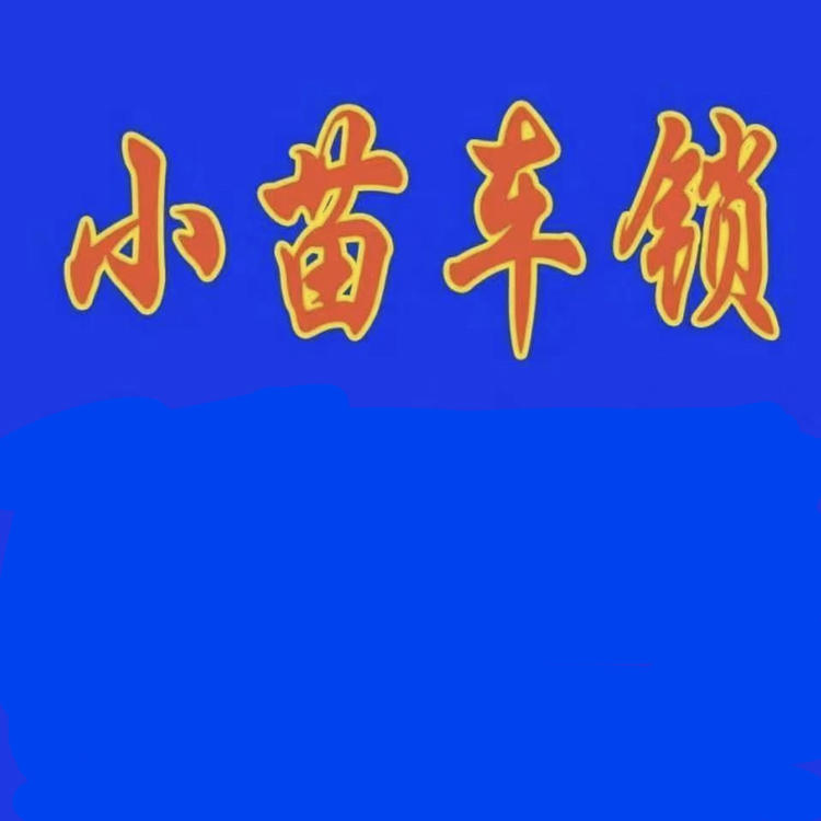 沈阳市于洪区小苗车锁商行的小店