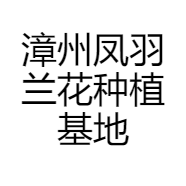 漳州凤羽兰花种植基地