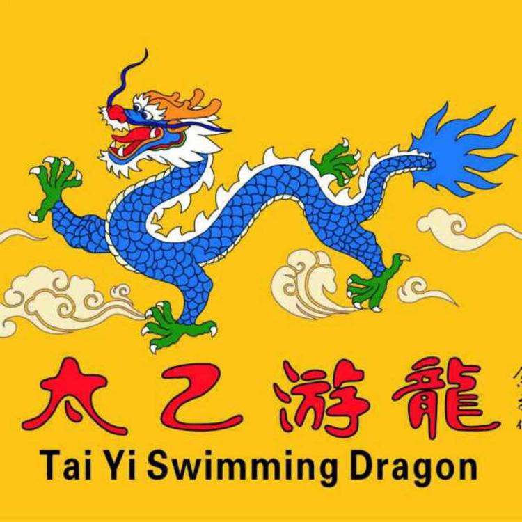 太乙游龙拳
