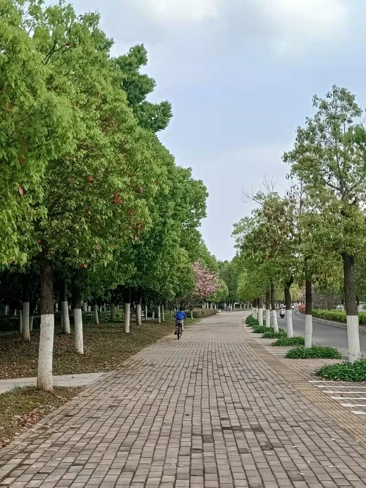 丽姐ai特产