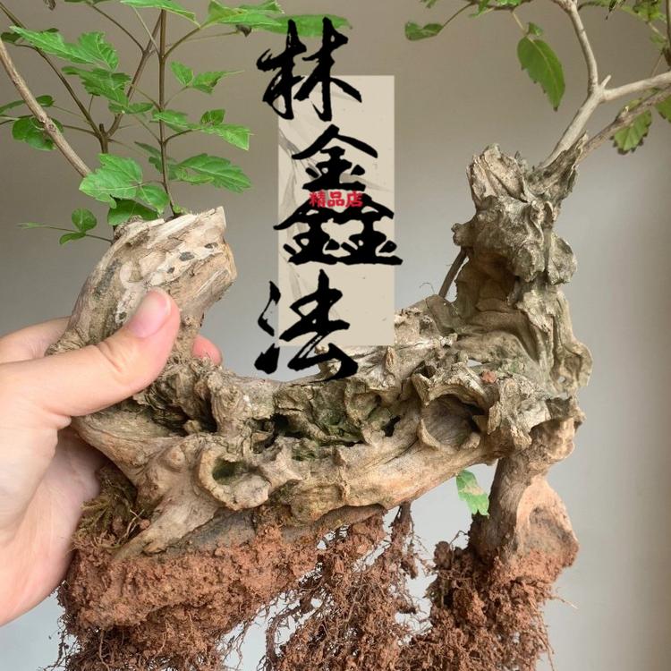 林鑫法精品店