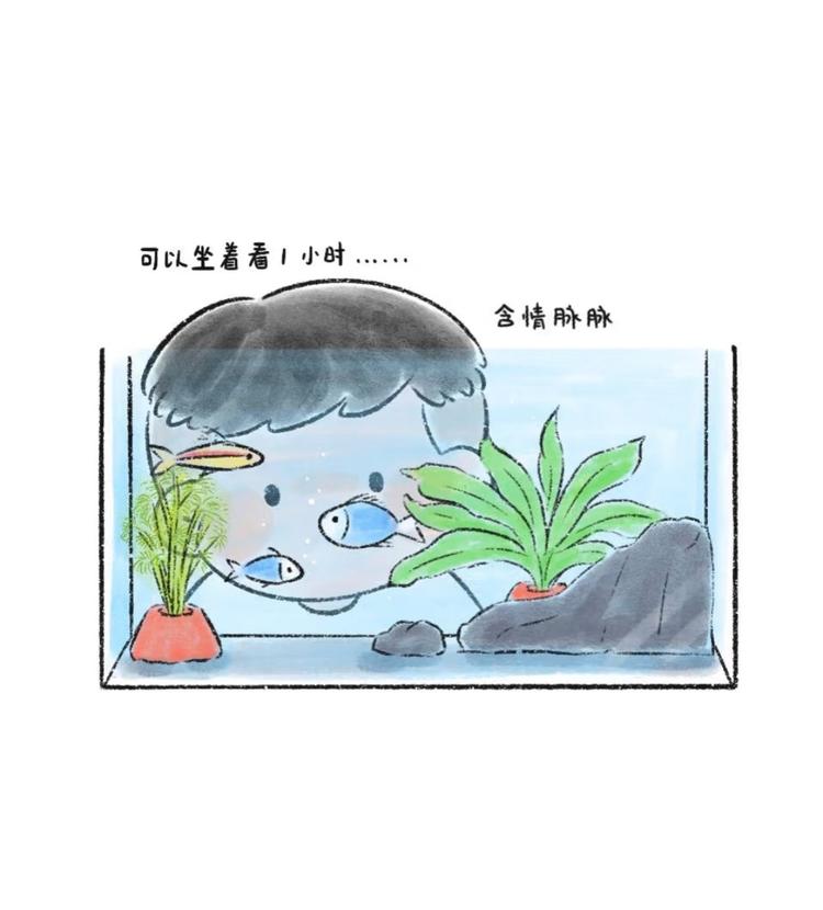 抚顺明博水产宠物优品店