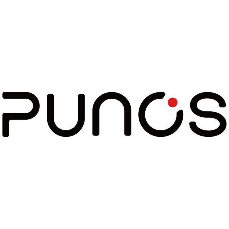 PUNOS博浪沙音响专卖店的店铺头像