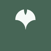 广州狲昊严选店