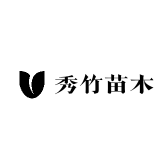秀竹苗木