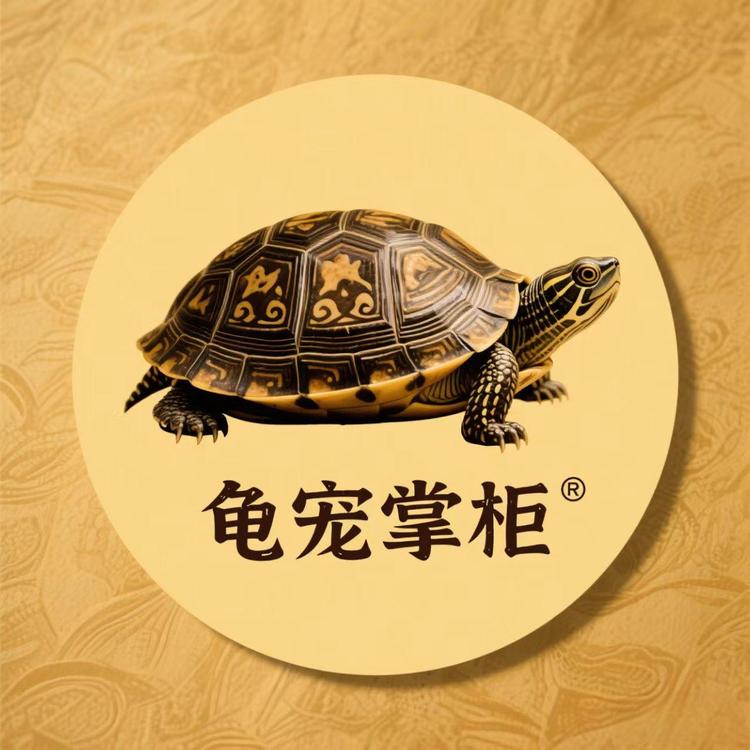 龟宠掌柜