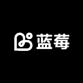 蓝莓宝的DIY手工小店