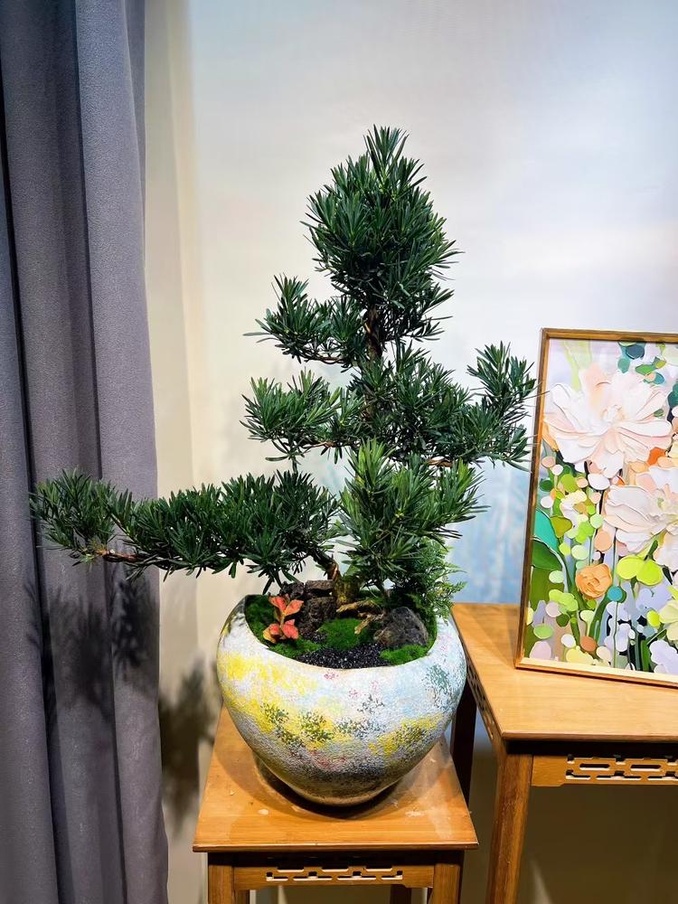 花卉品质臻选阁