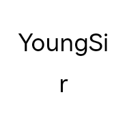 YoungSir个体店