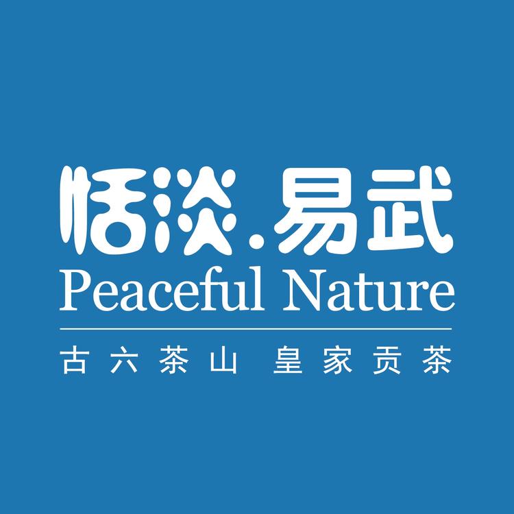 恬淡易武普洱茶