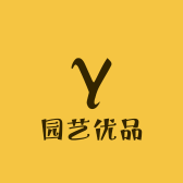 阳光金弹子