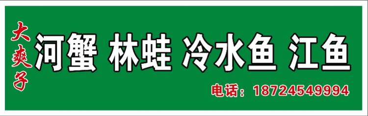 大爽子河蟹林蛙冷水鱼