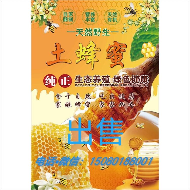 永恒之光8001