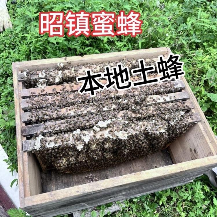昭镇蜜蜂小店