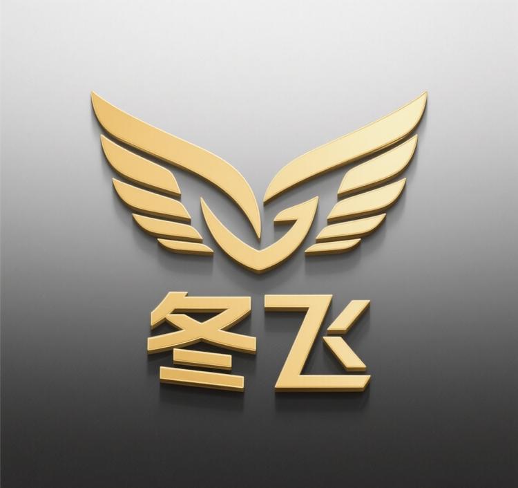 DF冬飞饰品