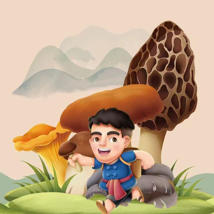小江哥菌菇干货旗舰店