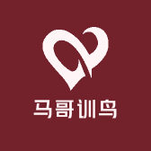 马哥训鸟