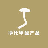 净化甲醛产品