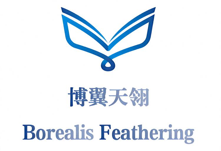 上海博翼天翎国际教育