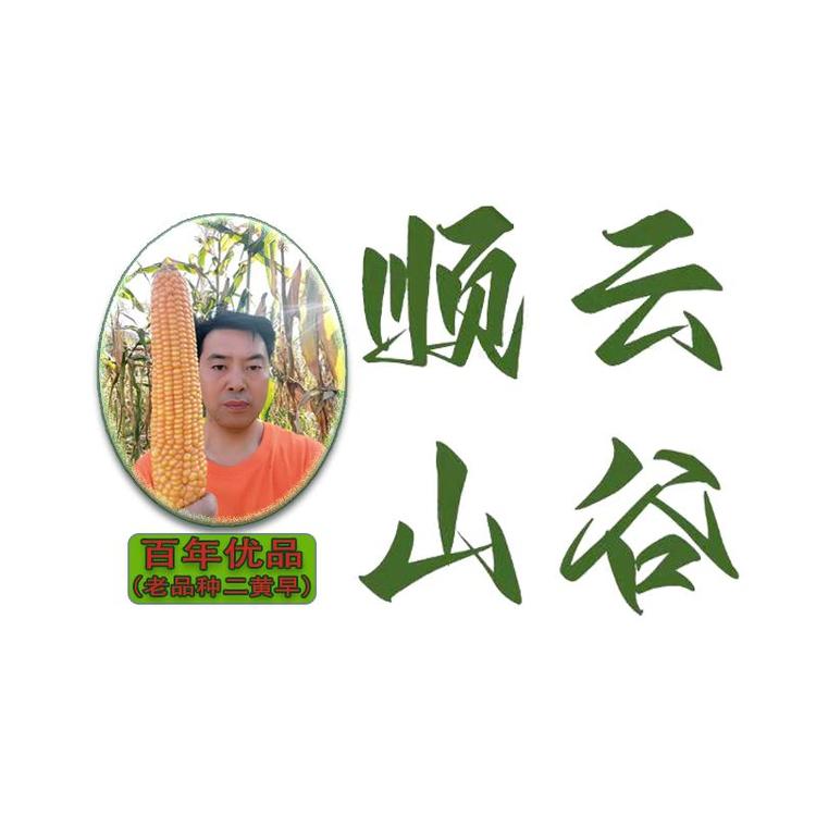 顺云山谷臻品粗粮