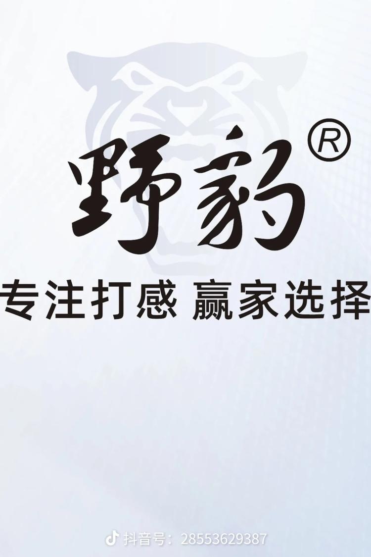 野豹台球杆推荐