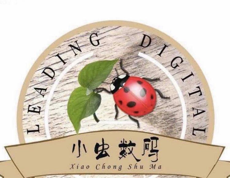 诸城市小虫通讯器材经营部的小店个体店