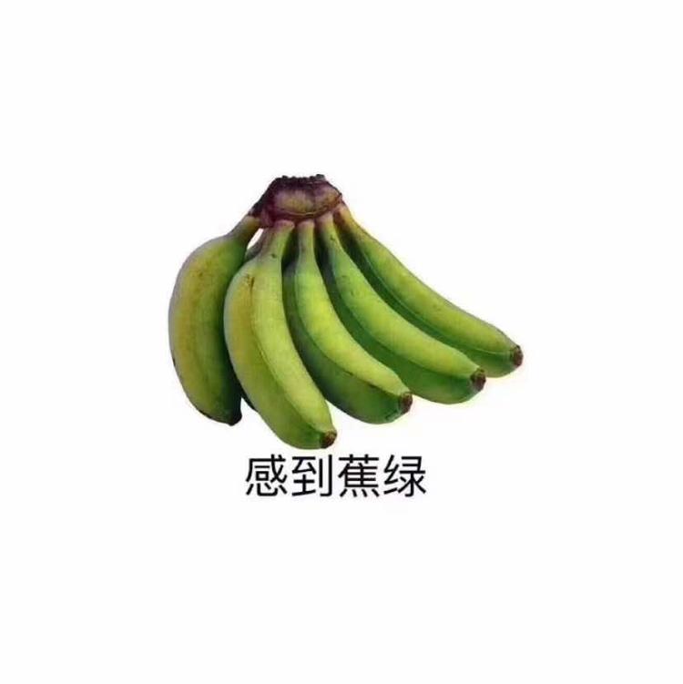 baci小店