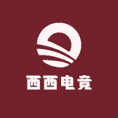 西西电竞