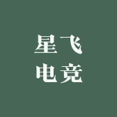星飞电竞