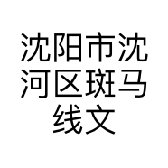 沈阳市沈河区斑马线文化广告传媒工作中心的小店