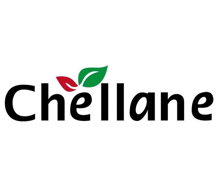 Chellane海外旗舰店