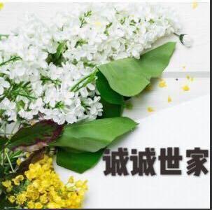 诚成世家服饰