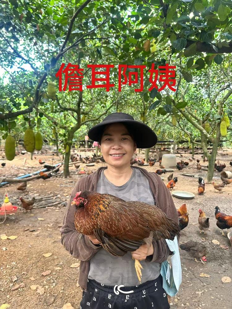 儋耳阿姨臻选店铺