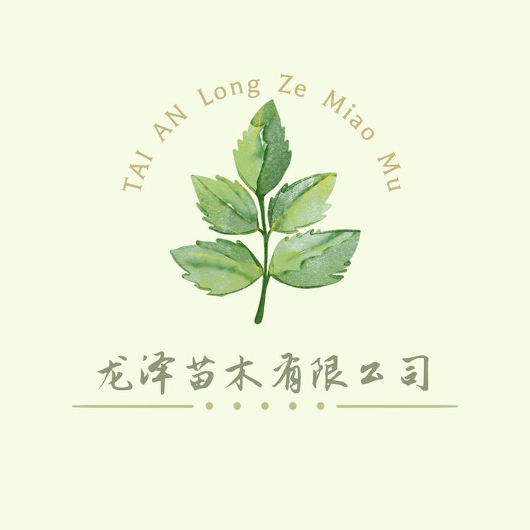 七叶岛龙泽果树苗木专卖店