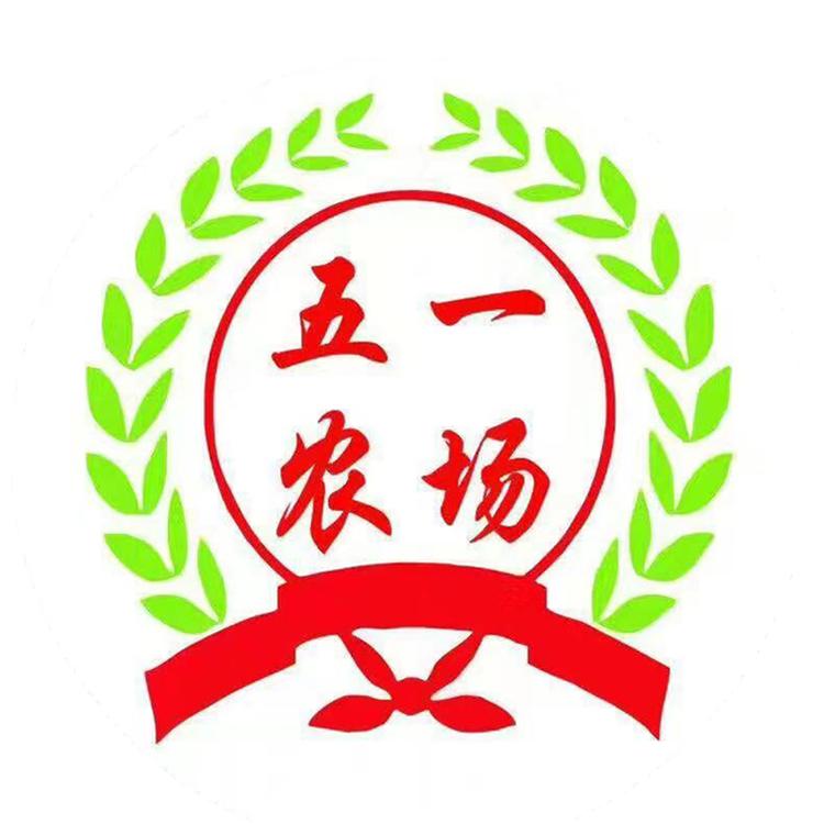 齐鲁海河五一农场店