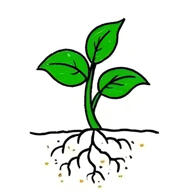 衫茂果树苗木专营店