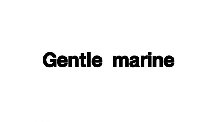 GentleMarine