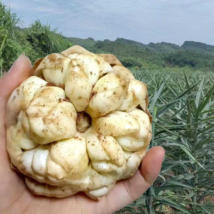 老萧农产品经营店