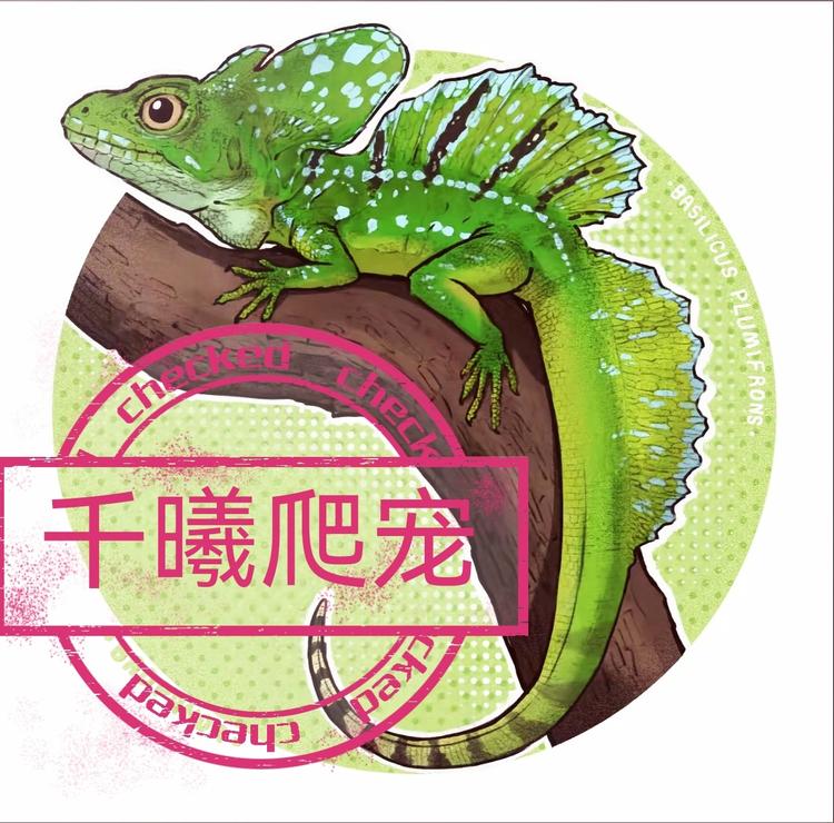 千曦精选爬宠