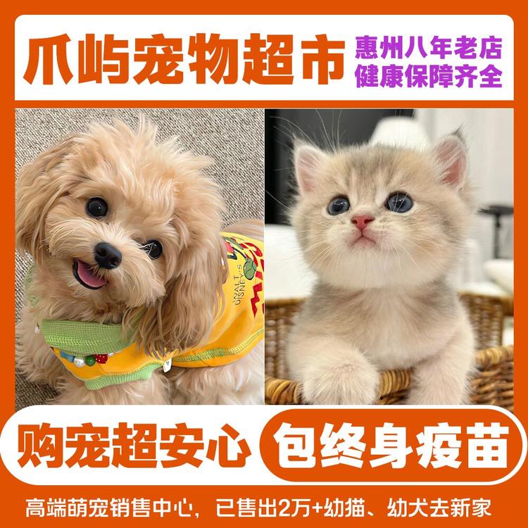 爪屿宠物超市 购猫购犬 洗护中心
