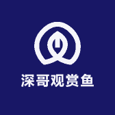 深哥观赏鱼