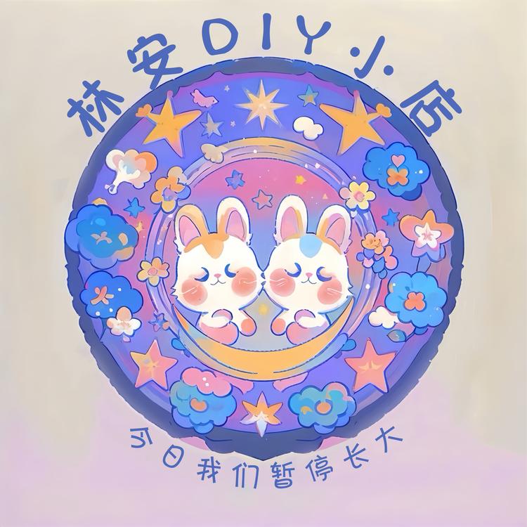 林安DIY小店