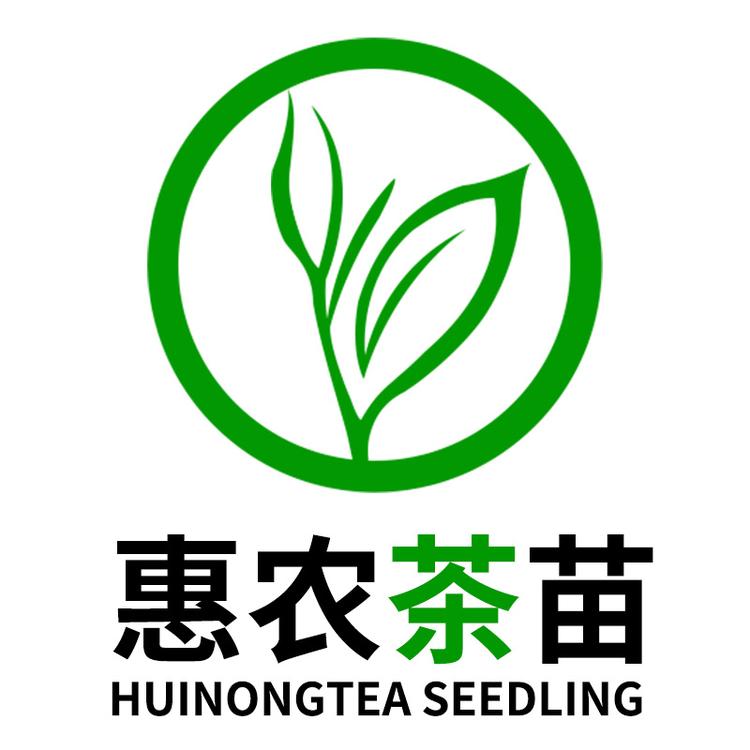 惠农茶苗