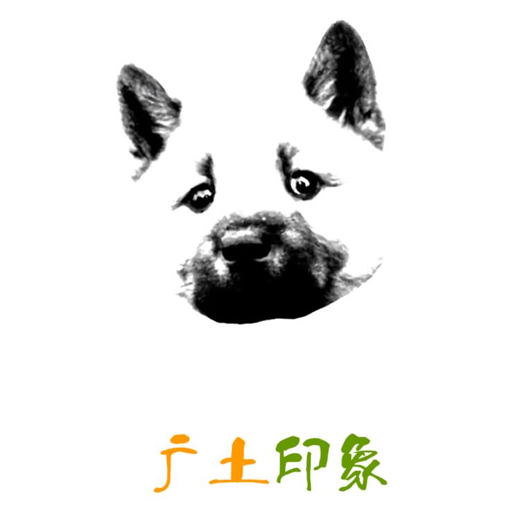 广土印象