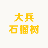 大兵石榴树